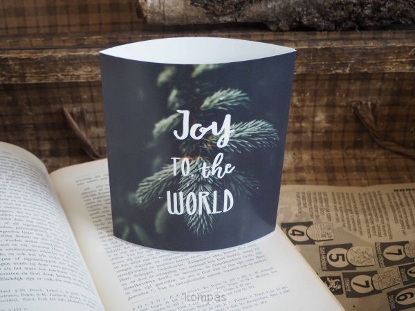 Joy to the world