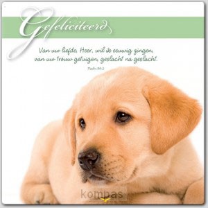Prentbriefkaart gefeliciteerd