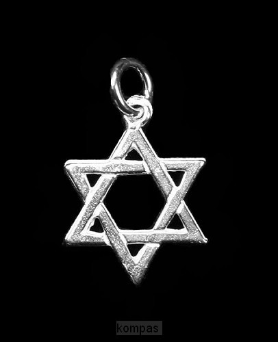 Hanger zilver davidster groot