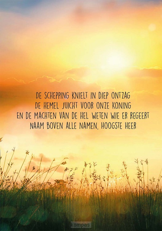 Wenskaart de schepping knielt