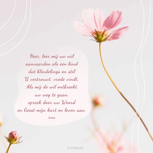 Heer wijs mij uw weg