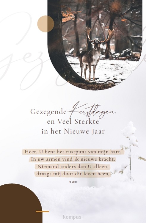 Enkele Kaart Gez./Sterkte + Selatekst