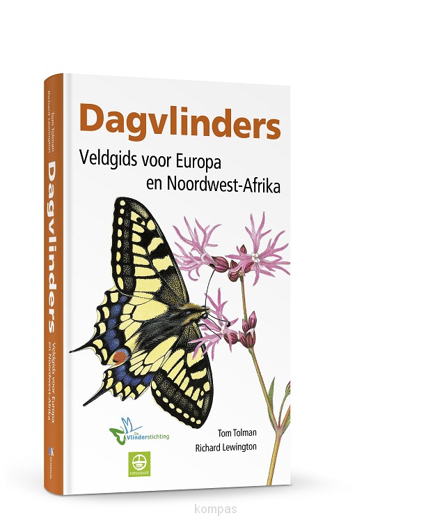 Dagvlinders