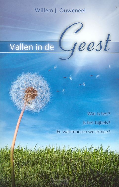 Vallen in de geest