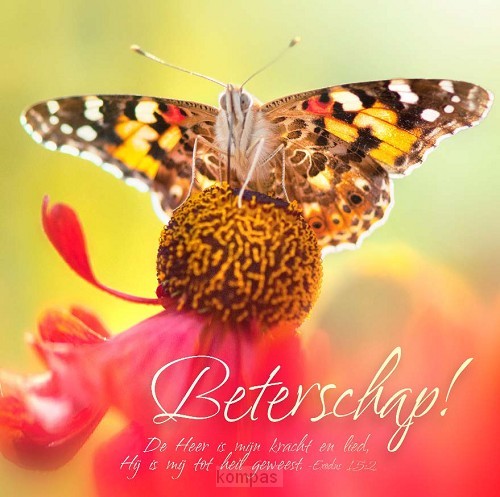 Kaart m env beterschap vlinder