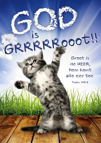 Poster A3 God is groot