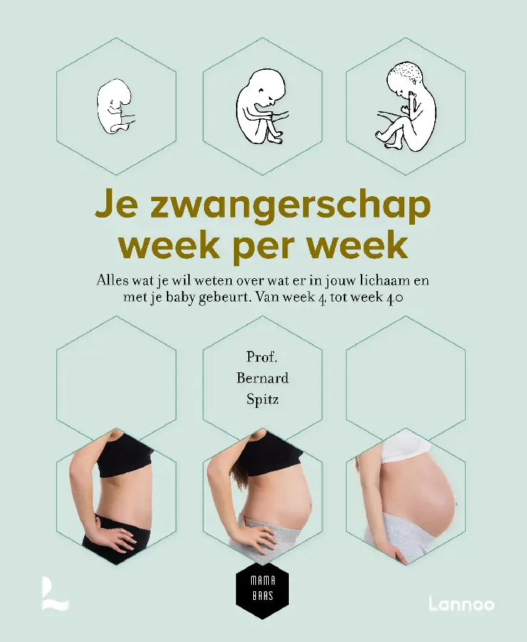 Je zwangerschap week per week