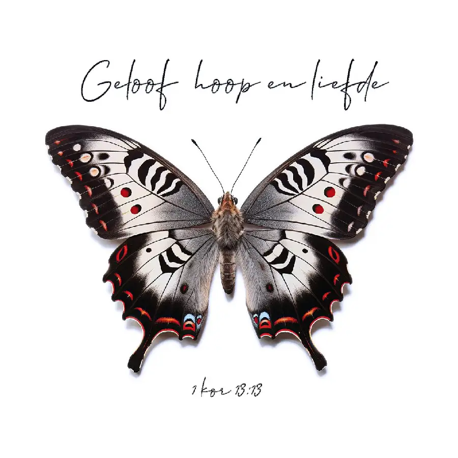 Geloog, Hoop, Liefde