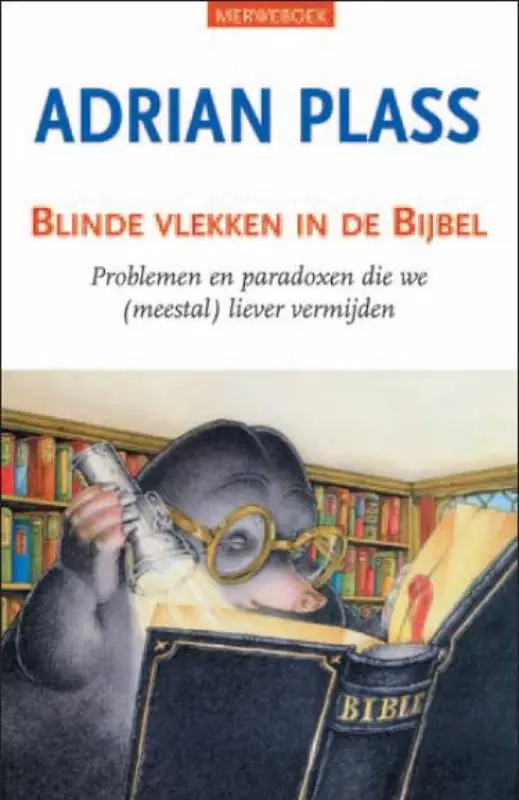 Blinde vlekken