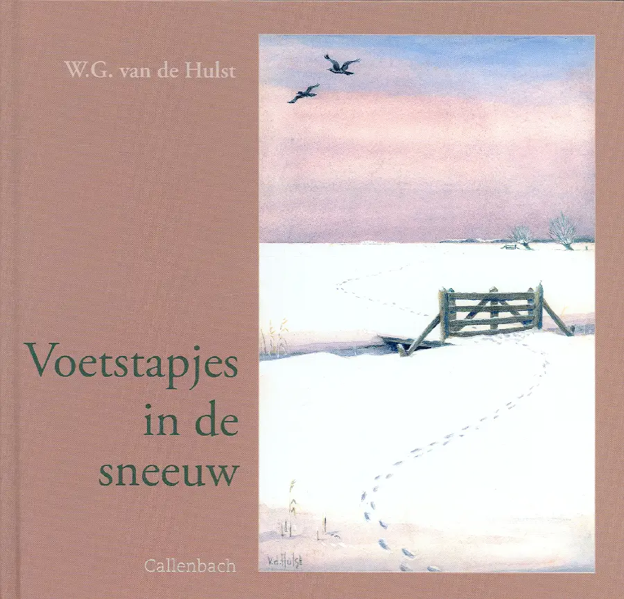 Voetstapjes in de sneeuw