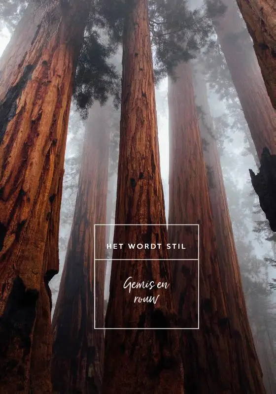 Het wordt stil wensboekje set3