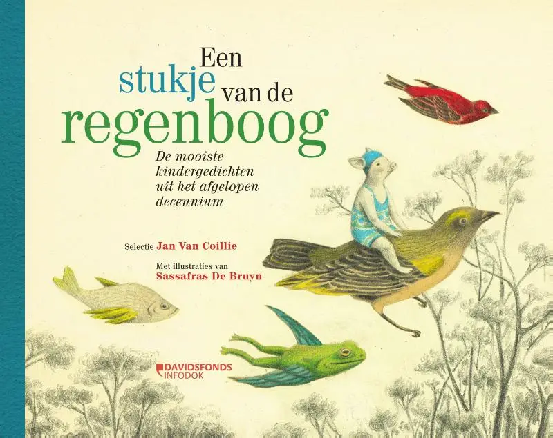 Stukje van de regenboog