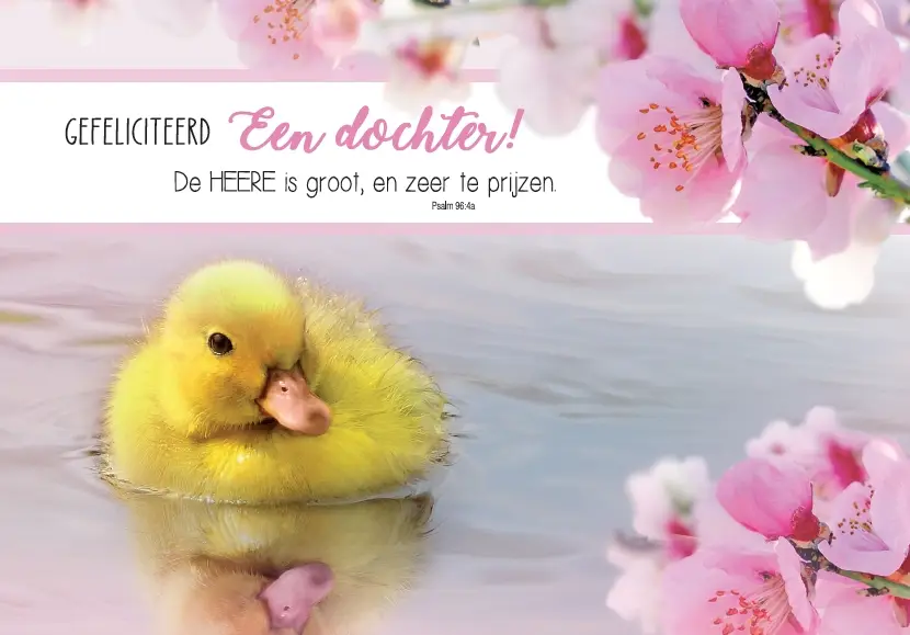 Geboorte Dochter m/t