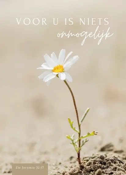 Voor U is niets onmogelijk