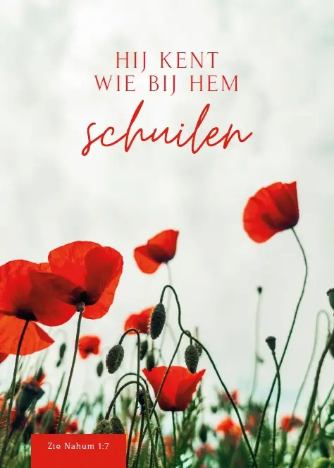 Hij kent wie bij Hem schuilen