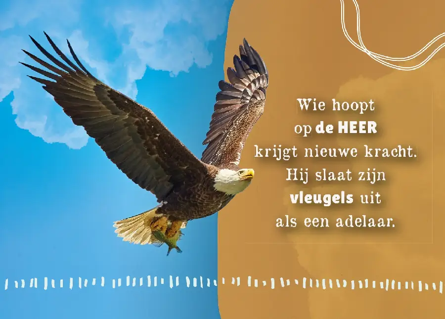 Wie hoopt op de Heer