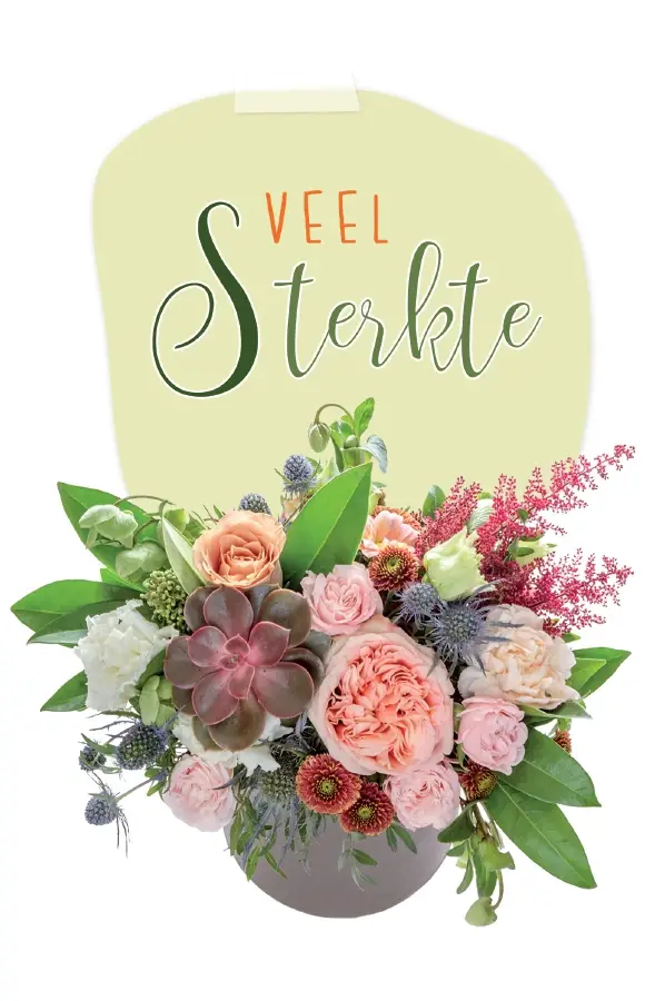 Sterkte