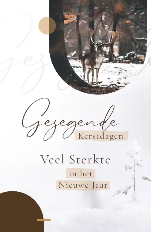 Enkele kaart Gez. Kerst/Veel Sterkte