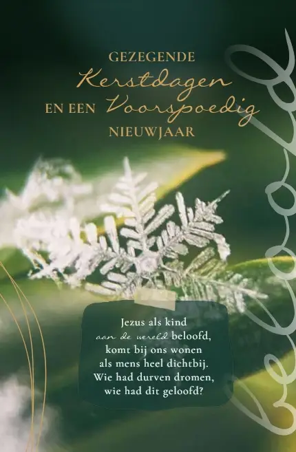 Wenskaart Gezegende K/N + Sela