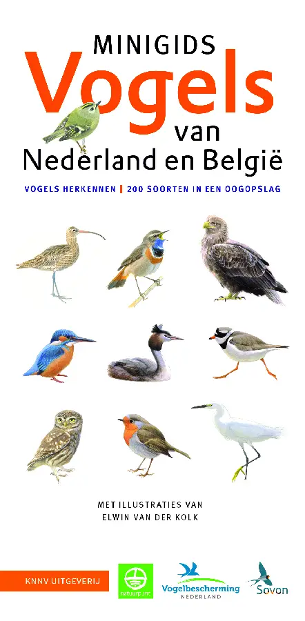 Minigids Vogels
