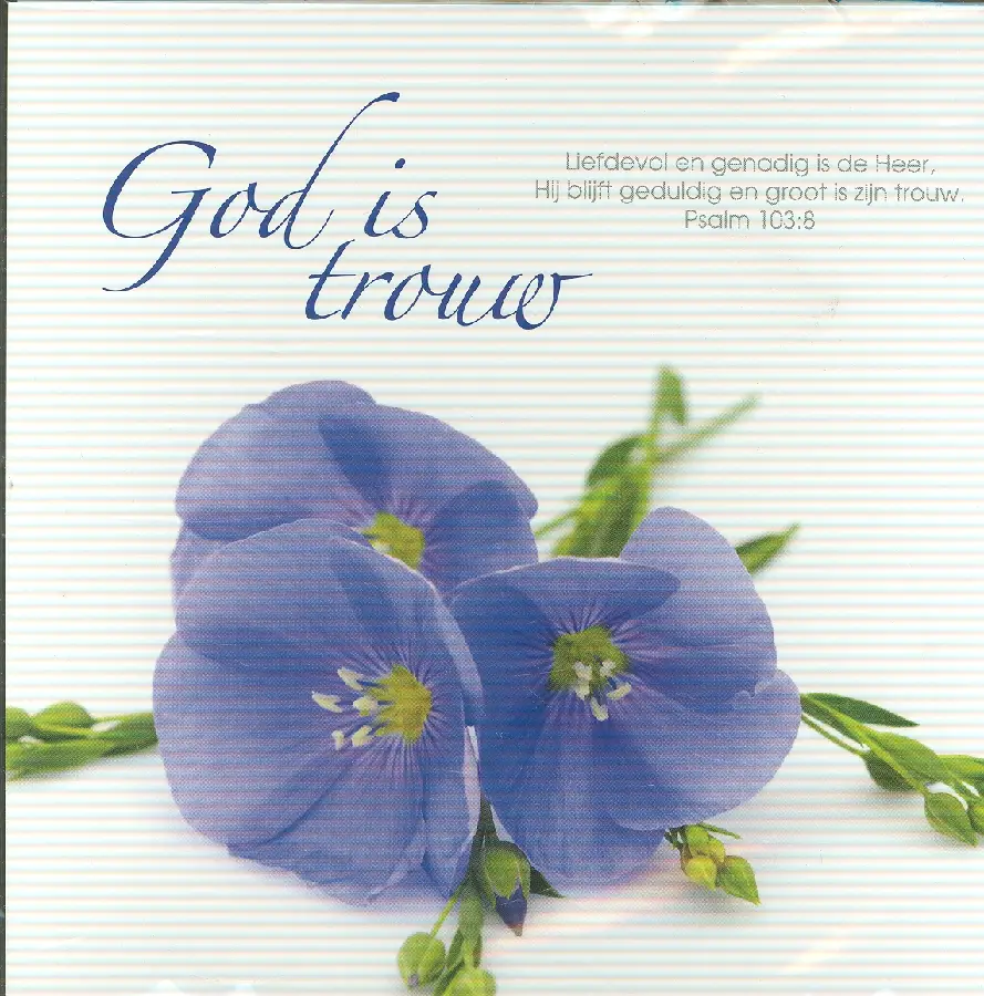Prentbriefkaart groot is Zijn trouw