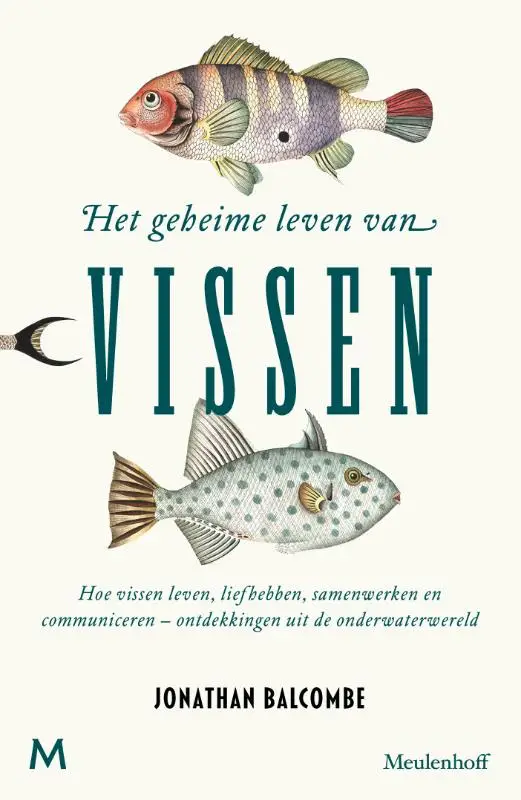 Geheime leven van vissen