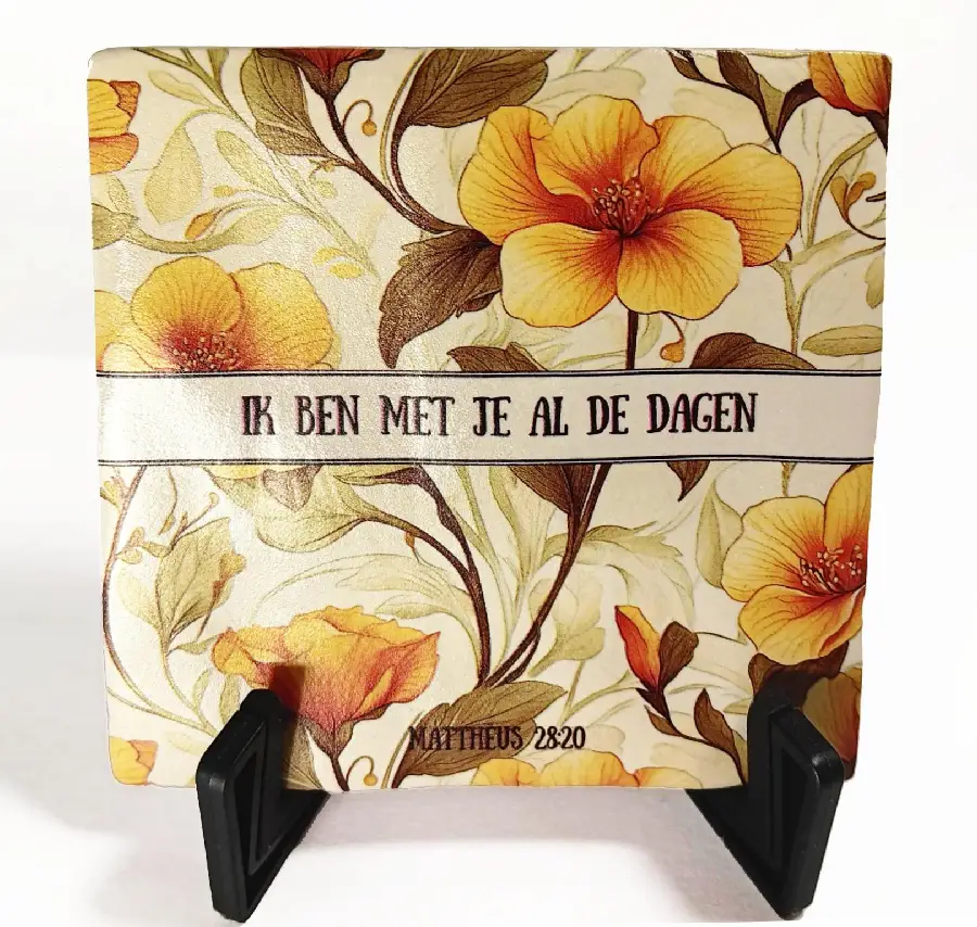 Ik ben met je al de dagen